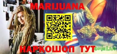 индика Нягань