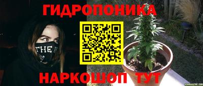 мдпв Обнинск
