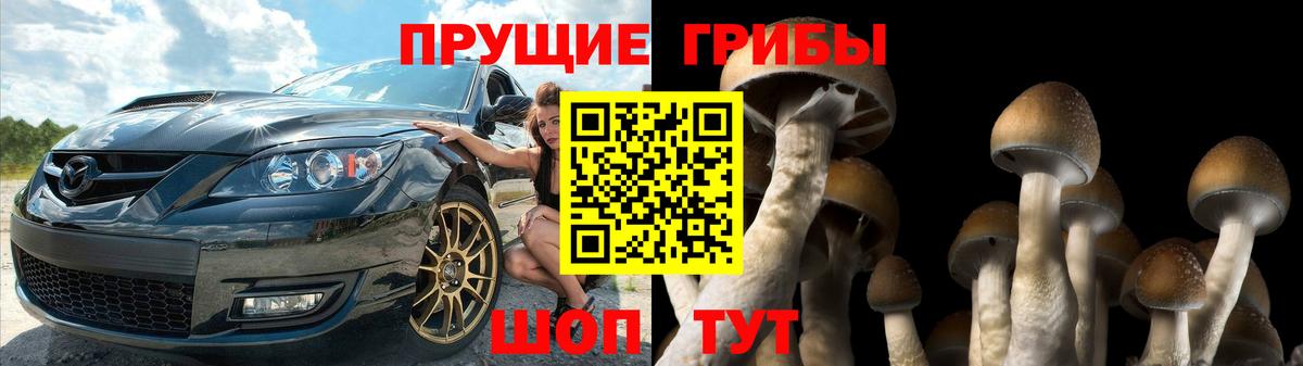 Псилоцибиновые грибы Psilocybine cubensis  Вход с VPN  Бор 